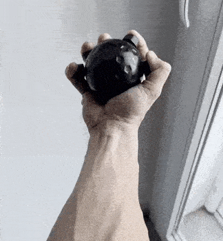 GIF