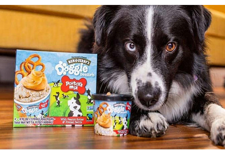 Assortment of healthy pet snacks in bowls