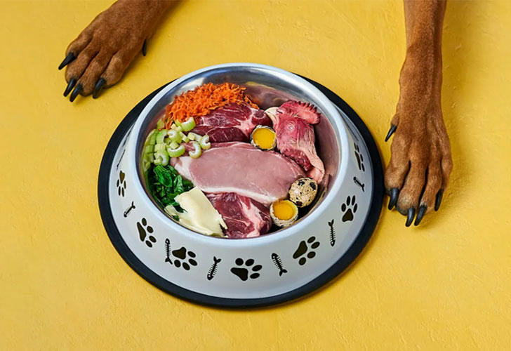 A happy dog enjoying a bowl of raw meat and veggies